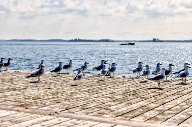 رحلة يلوا والحمامات الكبريتية