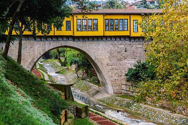 رحلات بورصة اليومية