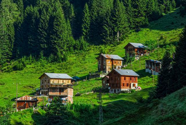 جولة في ايدر