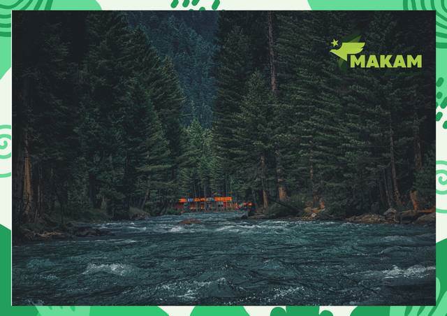 رحلة جيب سفاري